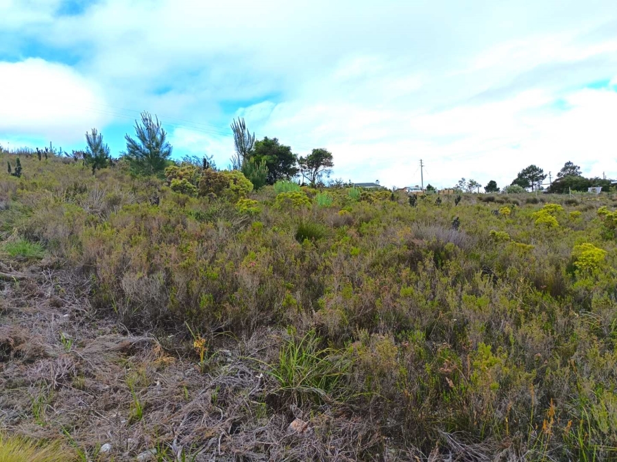 0 Bedroom Property for Sale in Baardskeerdersbos Western Cape